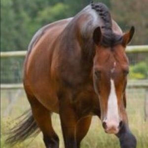 Meet your Posher, Bianca